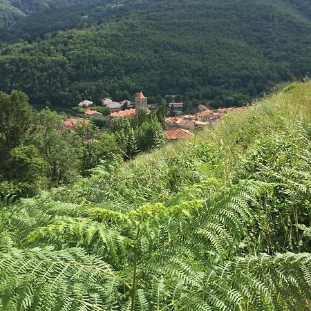 T2 Petite Terrasse Coeur De Ville Prats-de-Mollo-la-Preste Kültér fotó